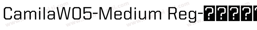 CamilaW05-Medium Reg字体转换